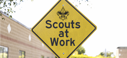 Scouts at Work