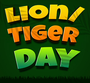 Lion/Tiger Day